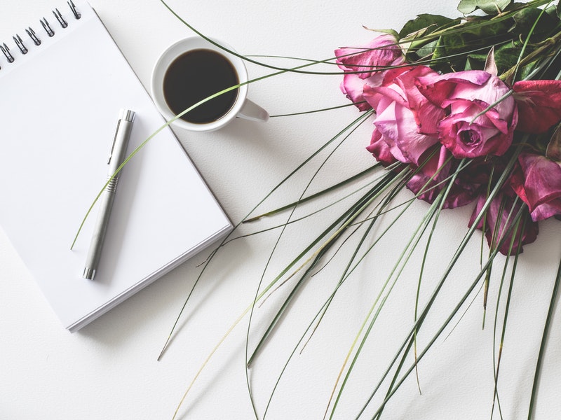 Blogger of the Month: Vicky of Miss Tilly and Me