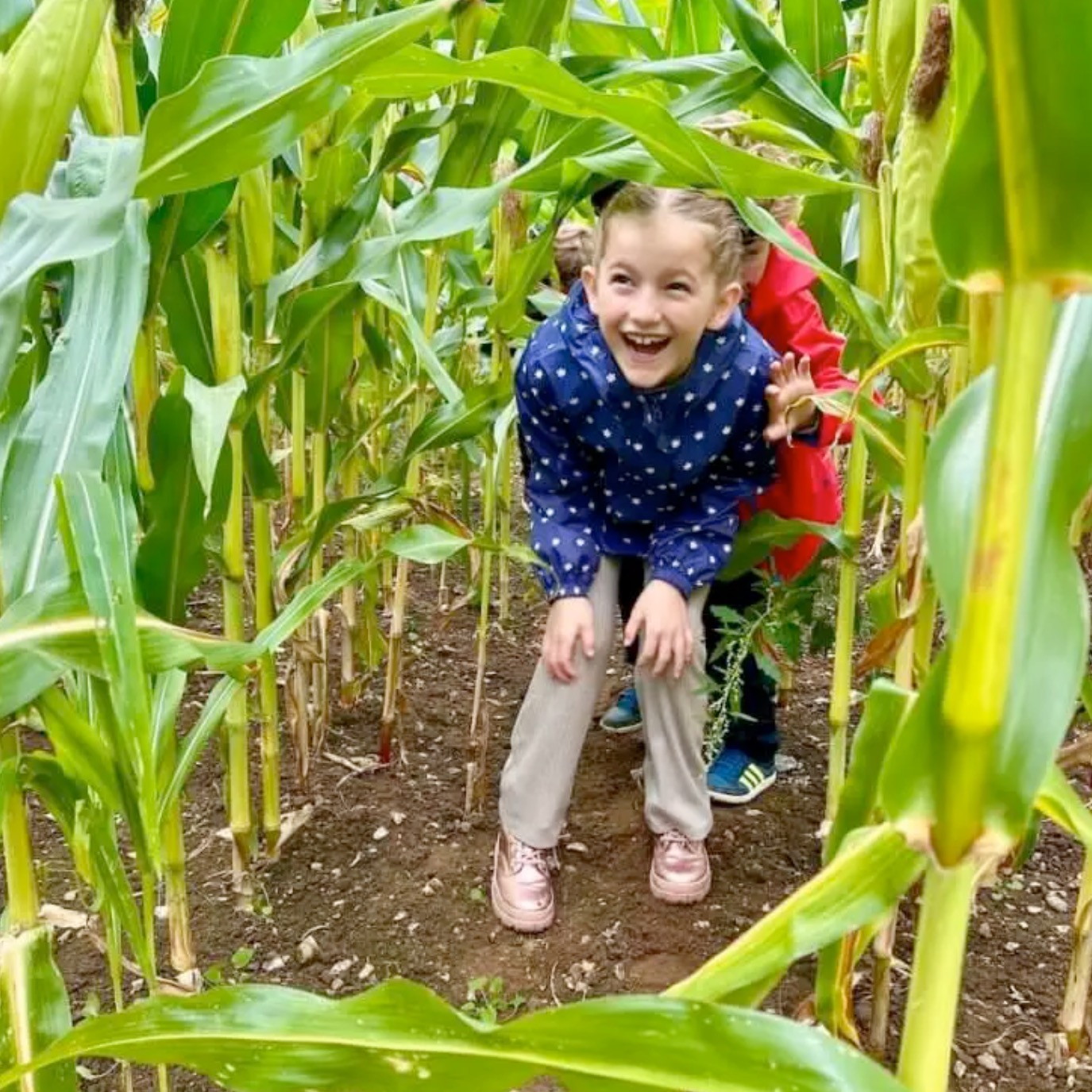 realparent.co.uk collaboration with a clothing company - kids running through a maize maze